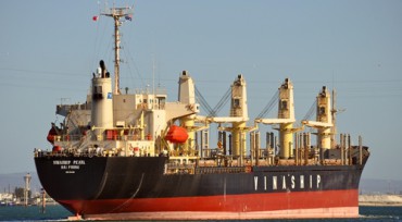 Lỗ hơn 200 tỷ đồng, hãng vận tải biển đổ lỗi cho ngành gạo